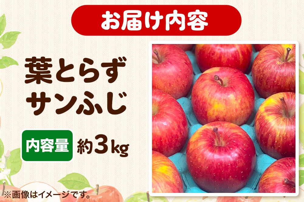 【26年12月発送】りんご 葉とらず サンふじ【家庭用】約3kg 糖度13.5度以上 先行受付 青森県 弘前市 果物 フルーツ 林檎 リンゴ くだもの 不揃い 規格外 [先行予約 産地直送 アップル 