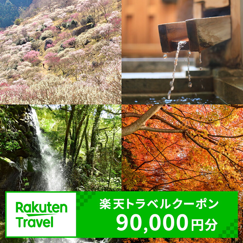 【ふるさと納税】神奈川県湯河原町の対象施設で使える楽天トラベルクーポン　寄付額300,000円