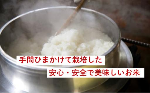 自然栽培 むつみ男米 白米 10kg 自然栽培　白米 10kg