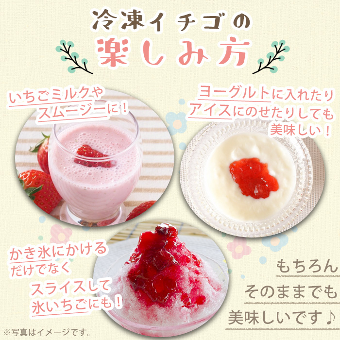 No.646-B 冷凍白いちご(約500g×2袋・計約1kg) 鹿児島 日置市 加工品 苺 イチゴ 冷凍 果物 フルーツ 小粒 アイス スムージー シロップ ジャム 数量限定 【ままりあ農園】