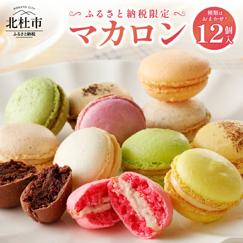 【ふるさと納税】 お菓子 マカロン アソート 冷凍 手作り バニラ チョコレート 木苺 カシス ヘーゼルナッツ ココナッツチョコレート 抹茶 ピスタチオ パッションショコラ バジル オレンジ ロイヤルミルクティー エスプレッソ 送料無料