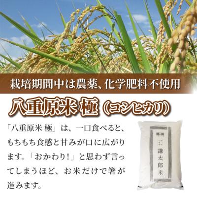 ふるさと納税 東御市 【太陽と大地】令和7年産「八重原産コシヒカリ白米「極」(栽培期間中農薬化学肥料不使用)8kg」 |  | 01