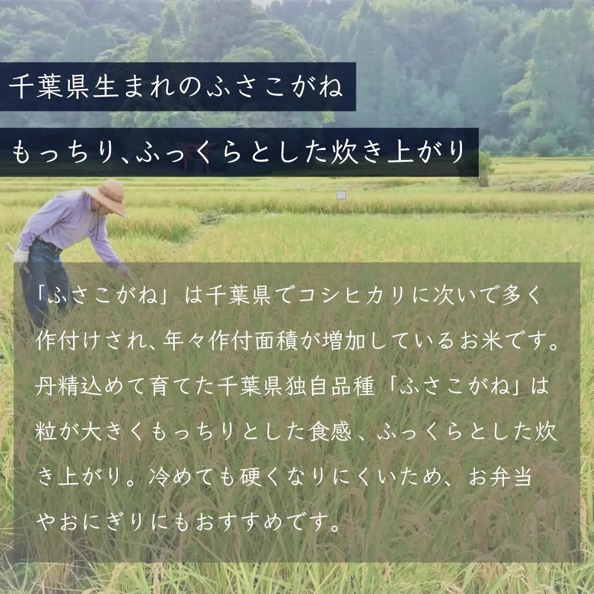 新米 令和8年産 千葉県産「ふさこがね」15kg（5kg×3袋） A048