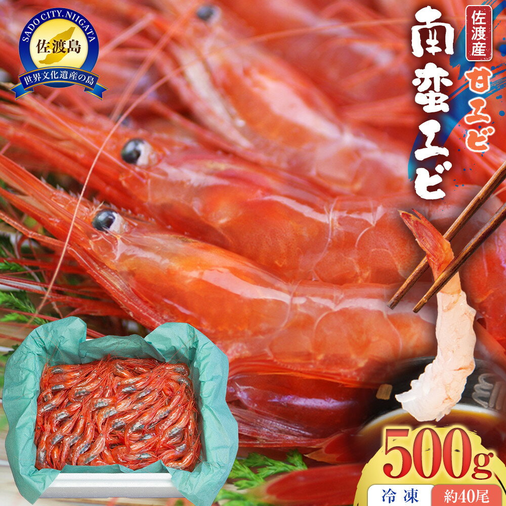 【ふるさと納税】佐渡産 南蛮エビ（甘エビ）冷凍 500g（約40尾） | 海老 魚介類 水産 食品 人気 おすすめ 送料無料