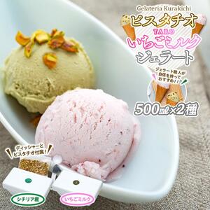 【数量限定】ジェラート 500ml×2種 食べ比べ  シチリア産 ピスタチオ TAROいちごミルク【大容量 アイス 業務用 セット 合計 1リットル スイーツ 人気 デザート 冷凍 氷菓子 家族 ファ