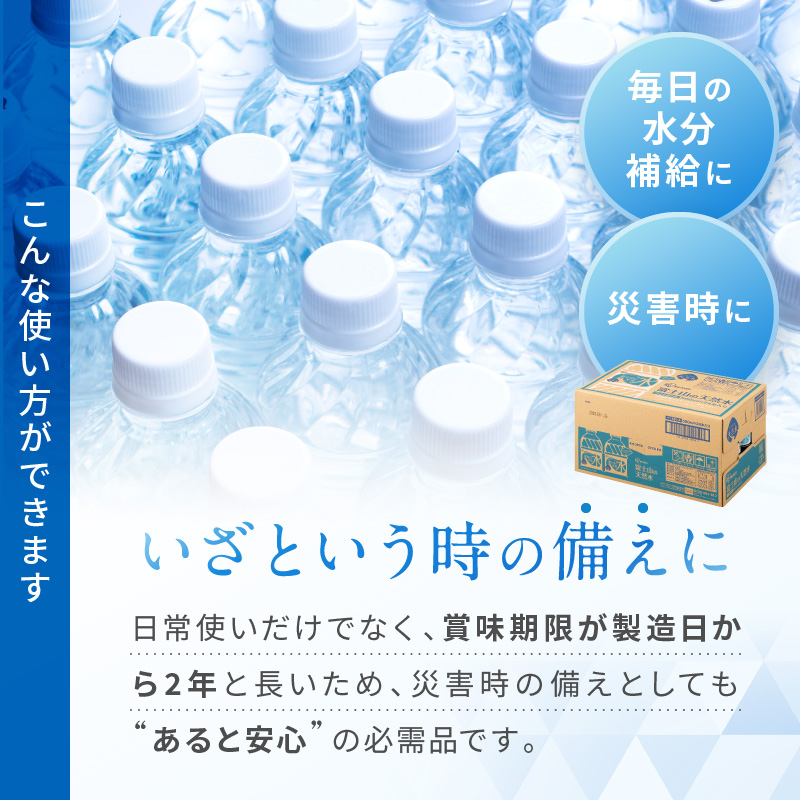 水 定期便 2ヵ月 富士山の天然水 500ml 24本 ドリンク 天然水 
