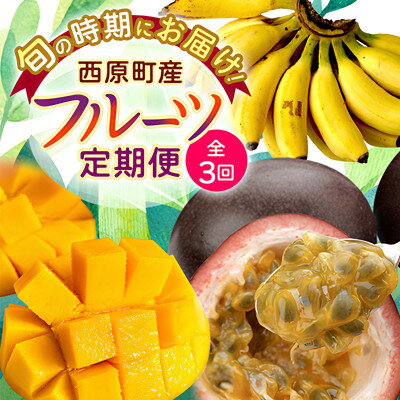 【ふるさと納税】【発送月固定定期便】JAおきなわ厳選フルーツセット(パッションフルーツ・マンゴー・島バナナ)全3回【配送不可地域：離島】【4080887】