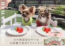 【ふるさと納税】犬の無添加おやつ☆お砂糖不使用ドライいちご6個【1～5月発送】（FB012）