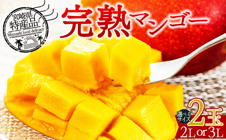 
            期間限定 ＜宮崎県産 完熟マンゴー 2Lor3L 2個＞2025年7月初旬迄に順次出荷【選べる フルーツ 果物 トロピカル 甘い ジューシー 果汁 とろける 芳醇 香り 贅沢 ぜいたく プチご褒美 ごほうび 】
          