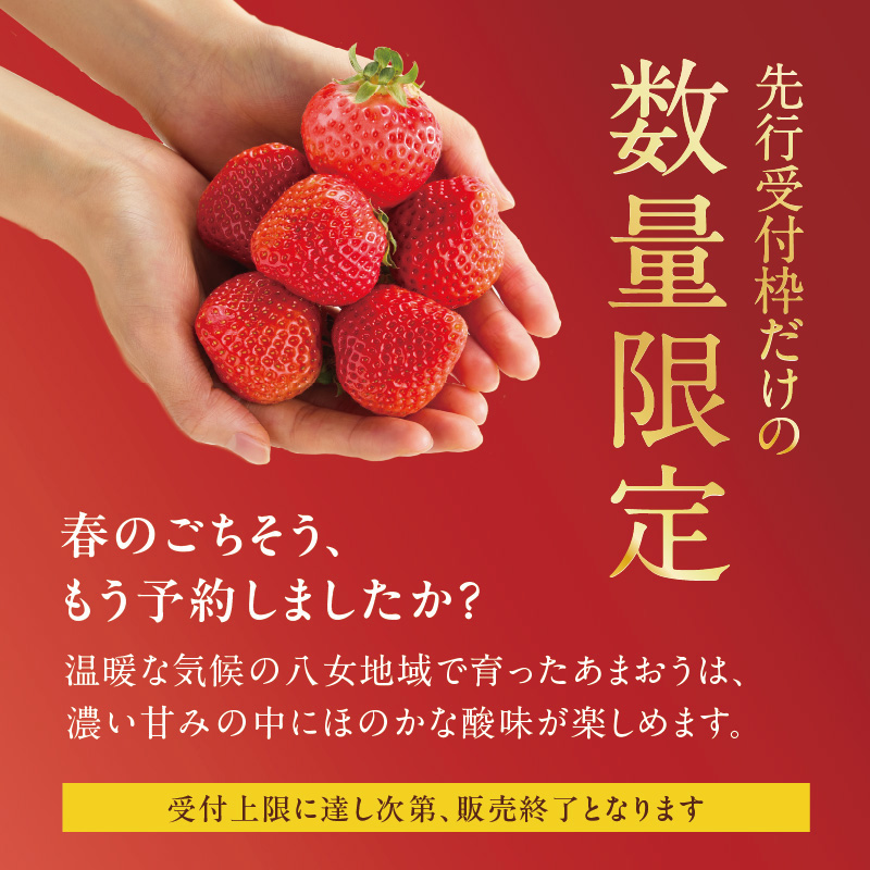 【先行受付：2026年2月発送開始】博多あまおうＧ270g×6パック｜ＪＡふくおか八女 あまおう いちご 苺 イチゴ フルーツ 果物 くだもの 人気  旬 福岡県産 大粒 アフター補償 数量限定 期間