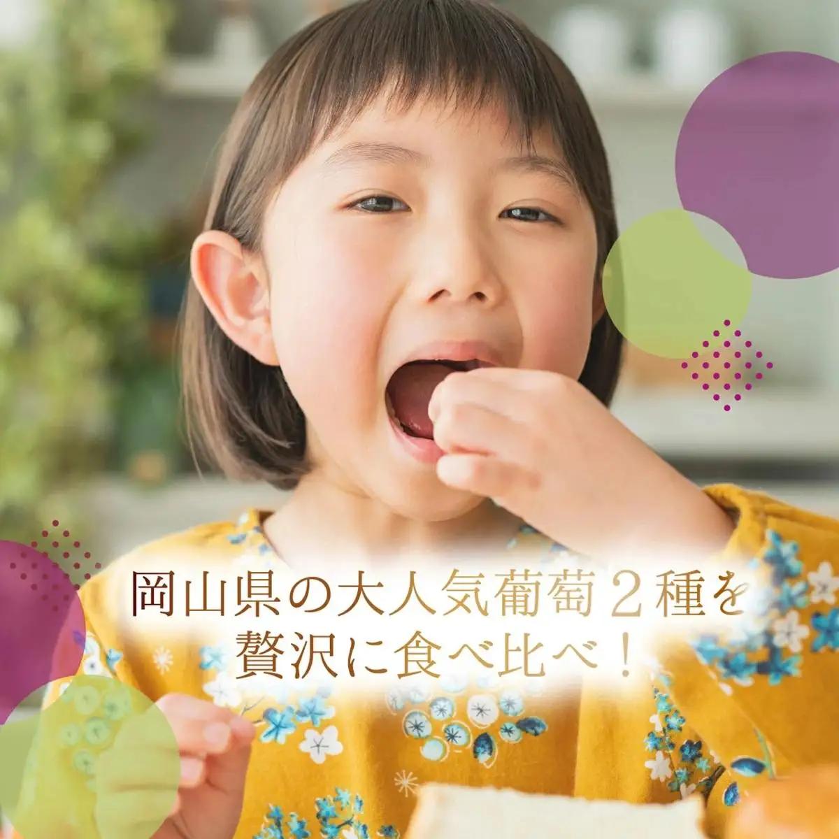 【2026年先行予約】［大原観光果樹園］ピオーネ2房とシャインマスカット2房（計4房 約2kg）【026-a018】