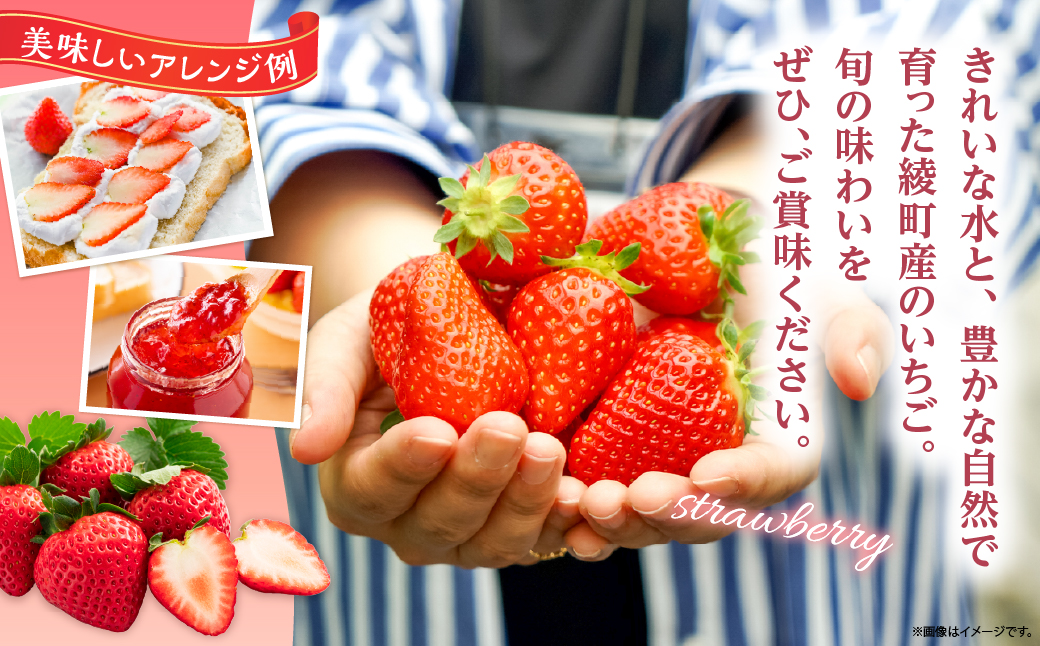 先行予約【全2回お届け】 いちご 定期便 合計2kg［I21］果物 フルーツ くだもの 2027年 青果 苺 イチゴ いちご大福 国産 おやつ スイーツ デザート おすすめ ジャム ジュース 甘い ジ