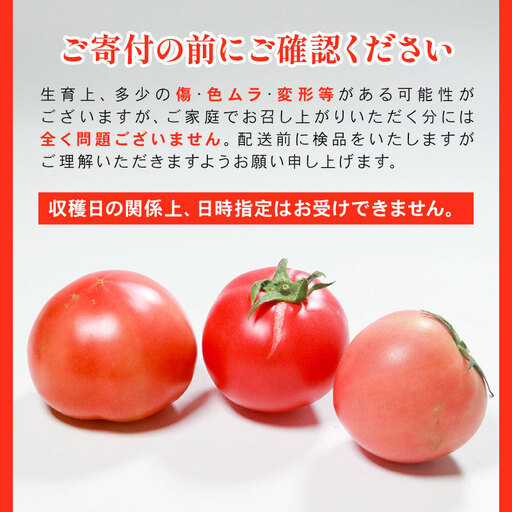 【先行予約】 トマト 約4kg トマト 大玉