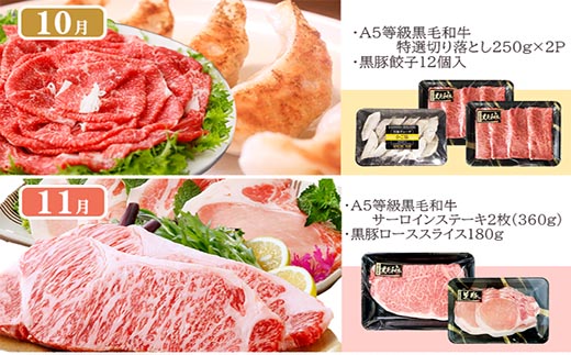 定期便(1年で10回配送)枕崎お楽しみ便(A5等級黒毛和牛・黒豚・黒豚加工品etc)II-6002【1166753】_ ふるさと納税 定期便 牛肉 豚肉 霜降り 焼肉 しゃぶしゃぶ 生姜焼き ステーキ