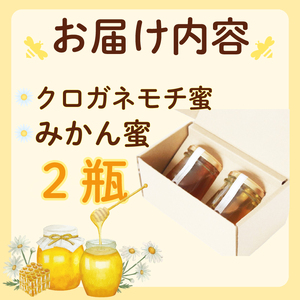 蜂蜜 （みかん･クロガネモチ）各100g 蜂蜜