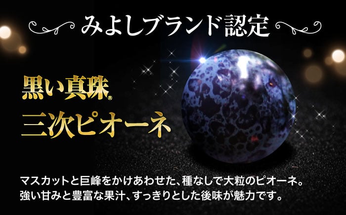 ピオーネ ぶどう 葡萄 ブドウ フルーツ 果物 種なし 人気 お取り寄せ ギフト 送料無料 数量限定 期間限定 広島 三次 贈答