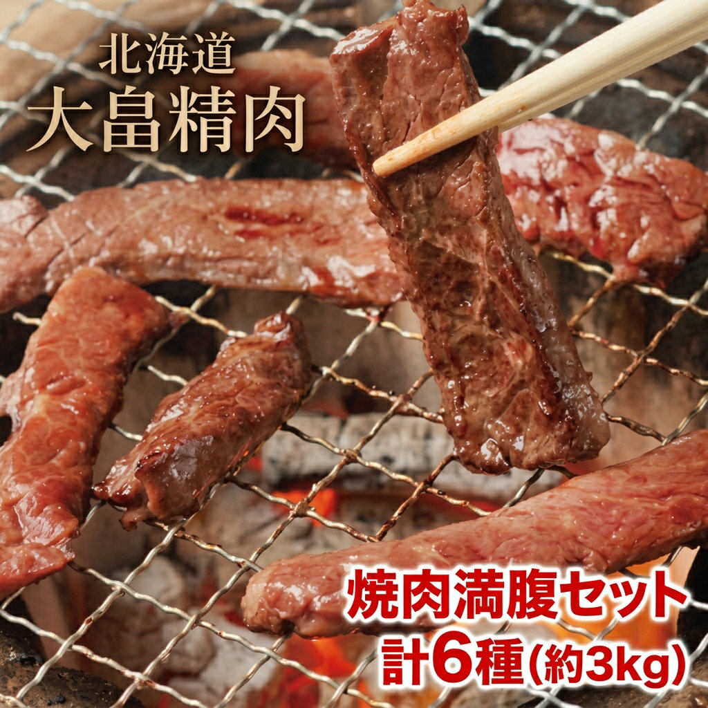 【ふるさと納税】大畠精肉店の焼肉満腹セット（計6種3kg）大容量 大畠精肉店 牛肩ロース カルビ サガリ ハラミ ホルモン ジンギスカン 豚タン 豚トロ 秘伝のタレ付 BBQ バーベキュー 10〜12人前 小分け 肉 お肉 冷蔵庫 詰め合わせ 北海道 新十津川町 【新十津川町】