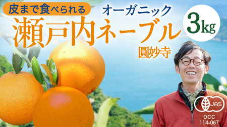 瀬戸内 オーガニック 圓妙寺 ネーブル 3kg ( 10~15個程度 ) 