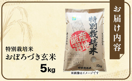 令和7年産!ファーム坂口の特別栽培米 おぼろづき玄米5kg