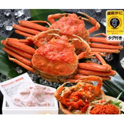 ふるさと納税 美浜町 ≪冷凍≫　漁期に獲れた越前セイコガニを茹でてそのまま-60℃で急速冷凍しました!　3杯お届けします★ |  | 02