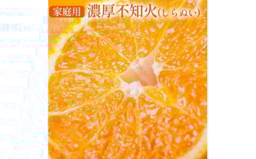 【先行予約】【農家直送】濃厚不知火（ご家庭用）約10kg ※2026年1月下旬～3月下旬頃に順次発送予定 ※沖縄・離島への配送不可