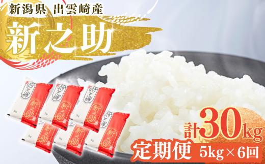 【令和7年産】 「新之助」 定期便 5kg 6か月 新潟県産 出雲崎町産 白米 精米 お米  合計30kg