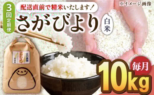 【2026年1月発送開始】【3回定期便】令和6年産 さがびより 白米 10kg＜15年連続特A評価＞ 配送前精米/江口農園[UBF027] 白米 米 お米 精米 佐賀県産 特A