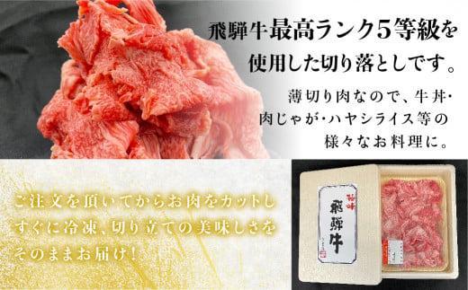 【6月発送】飛騨牛 A5等級 切り落とし  小間切れ A5ランク A5 5等級 肉  黒毛和牛 ブランド牛 300g 飛騨高山 ながせ食品 FH001VC06