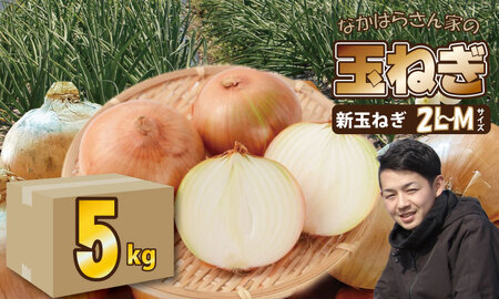 タマネギ（新玉ねぎ）なかはら農園 （5kg）サイズ2L～Mサイズ （たまねぎ、玉葱） A050-002