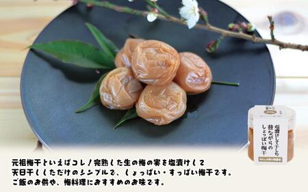 ちょうどいい梅干セット 【味わいセット】各90ｇ×6種 （約4～5粒入） A-139