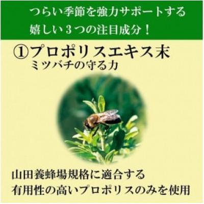 ふるさと納税 鏡野町 花粉ケアEX(11177) |  | 01