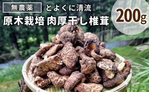 原木栽培 無農薬★とよくに清流　ほししいたけ 干ししいたけ 乾燥しいたけ しいたけ 椎茸 野菜 原木しいたけ BBQ 肉厚 -017