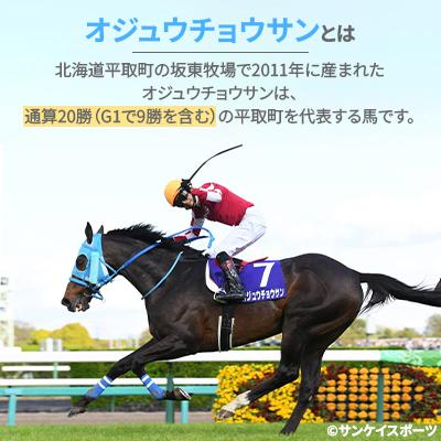 ふるさと納税 平取町 特大ぬいぐるみ　絶対王者【オジュウチョウサン】バージョン |  | 01
