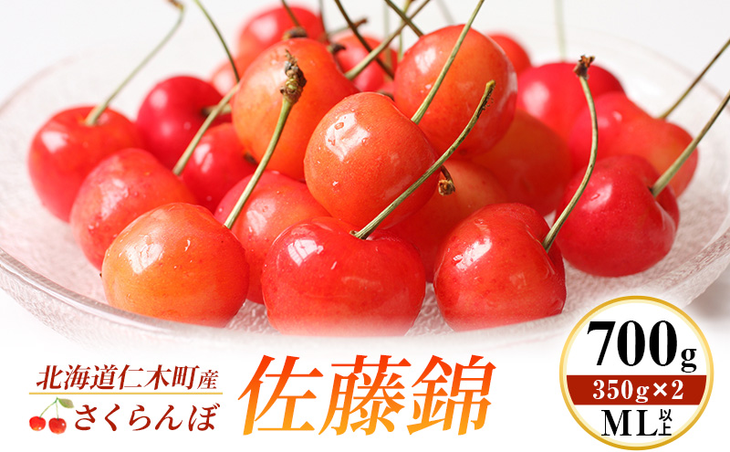 2027年発送 北海道 仁木町産 さくらんぼ 佐藤錦 700g (350g×2) ML以上  旬の果物 サクランボ チェリー フルーツ 果物 果物類 仁木町 仁木 [伊賀農園]