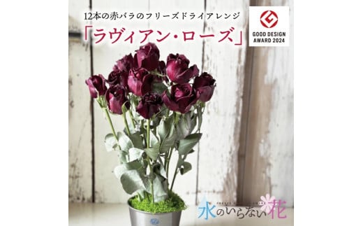 12本の赤バラのフリーズドライアレンジ「ラヴィアン・ローズ」水のいらない花　ゼロフラワー SL0241