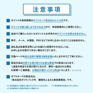 【静岡市】あとから選べるWEBカタログギフト（寄附30万円コース）90000ポイント｜寄附した後にゆっくり返礼品が選べて便利！対象返礼品続々追加中［ 静岡 カタログポイント 有効期限6か月 対象商品続