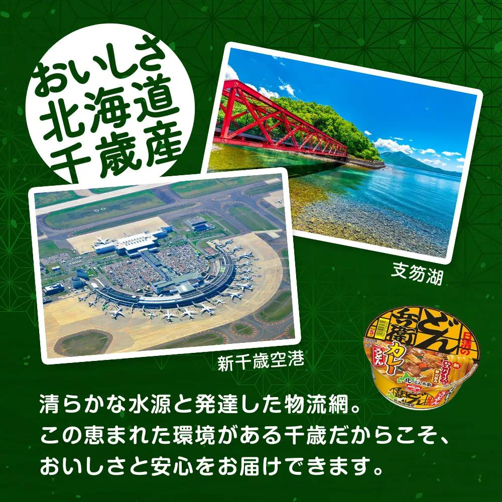 日清 北のどん兵衛 カレーうどん 北海道仕様24個
