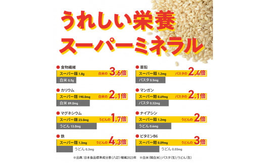 スーパー麺　平打麺　10食セット