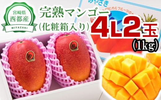 西都産完熟マンゴー大玉！4Ｌ×2玉（約1ｋｇ）【化粧箱入り】《先行予約》＜1.5-178＞2026年発送 果物 くだもの フルーツ 宮崎県西都市