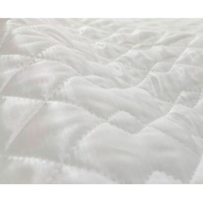 ふるさと納税 岸和田市 【シングルセット】ピュアシルク敷パッド1枚&枕パッド(M)1枚 SCC-1020S/4363 |  | 01