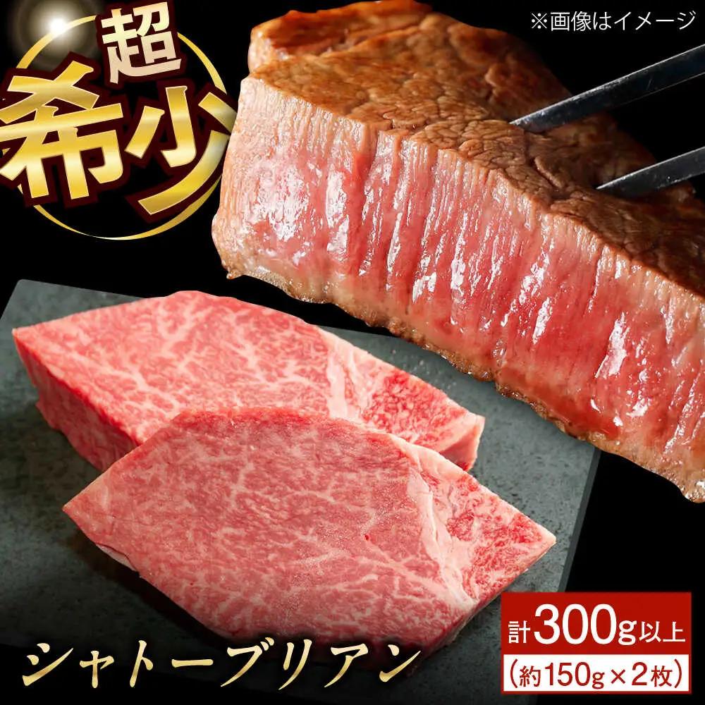 シャトーブリアン 150g×2 牛肉 国産 シャトーブリアン 長崎和牛 牛肉 QBN058