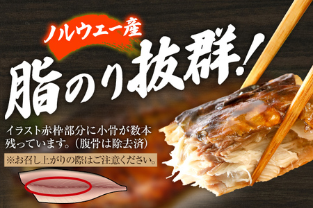 鯖 さば サバ 照焼鯖 12尾（2尾×6パック）照り焼き 調理済 調理済み レンチン 温めるだけ 脂のり 惣菜 晩御飯 おかず ジューシー 冷凍 お弁当 レンジ調理 サバ 自社製造 朝ごはん 和食 テ