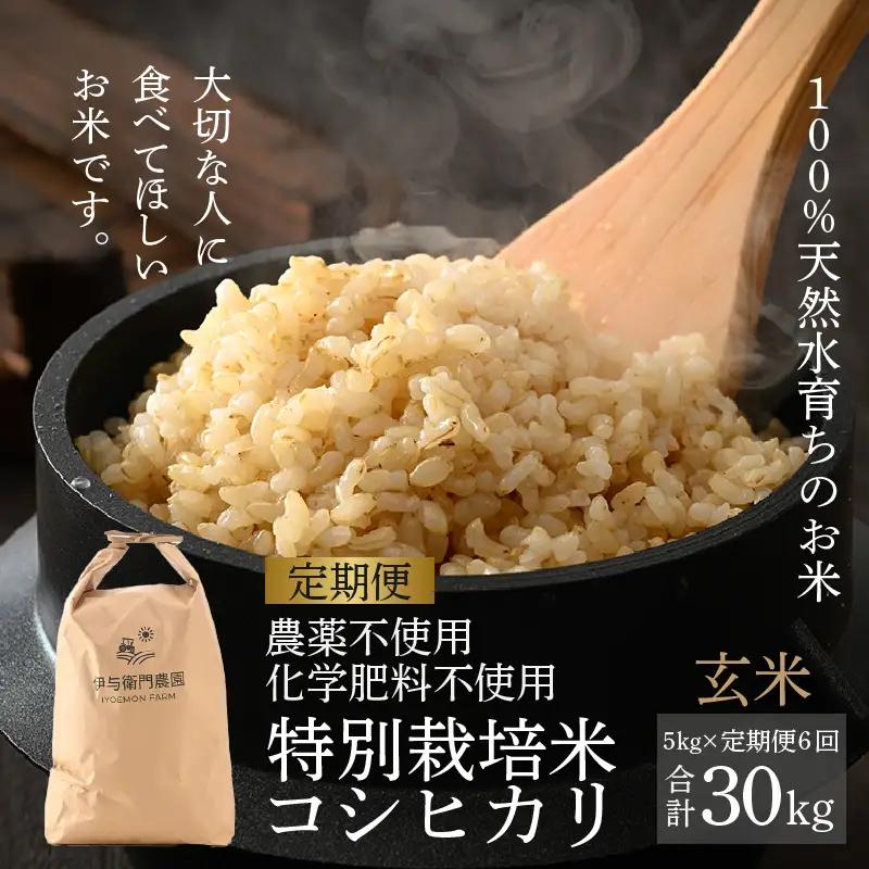 【先行予約】【令和8年産 新米】《定期便6回》伊与衛門農園のコシヒカリ 玄米 5kg （計30kg）特別栽培米 化学肥料不使用 ＜温度と湿度を常時管理し新鮮米を出荷！＞／ 高品質 鮮度抜群 福井県あわら産 ブランド米 お米 ※ 2026年10月上旬以降順次発送 [aw071-i004]