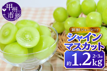【ふるなびWEEK対象】新鮮ジューシー！シャインマスカット 約1.2kg 2～3房【2025年発送】FN-Limited（MKN）B11-500 【シャインマスカット 葡萄 ぶどう ブドウ 令和7年発送 期間限定 山梨県産 甲州市 フルーツ 果物】