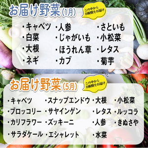 コ旬の有機栽培野菜セット 全4回 定期便 有機JAS 詰め合わせ 【野菜】【ho1552】
