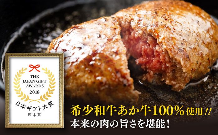 【全12回定期便】熊本和牛あか牛ハンバーグセット　約120g×6個 / 菊陽町 あかうし 熊本県 肉 にく niku ブランド 旨み【有限会社　三協畜産】 [BHAS035]