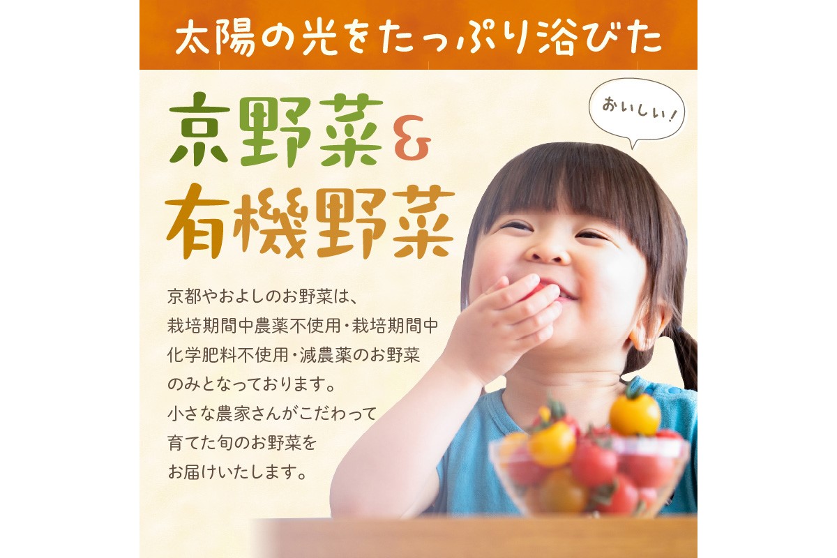 【定期便】合計4回お届け　 有機野菜・京野菜の『京都やおよし』の亀岡・京丹後市お野菜詰め合わせ※北海道、離島、沖縄地域への発送不可　AA00013