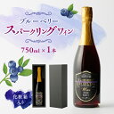 【ふるさと納税】【化粧箱入】スパークリングワイン 750ml ブルーベリー ワイン 熊本 山都【社会福祉法人 御陽会 サポートハウス 明星学園】[YBM010]