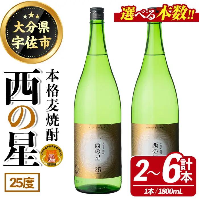 西の星 ビン 25度(1800ml×2本)酒 お酒 焼酎 麦焼酎 アルコール 三和酒類【114001400】【一般社団法人　地域商社USA】