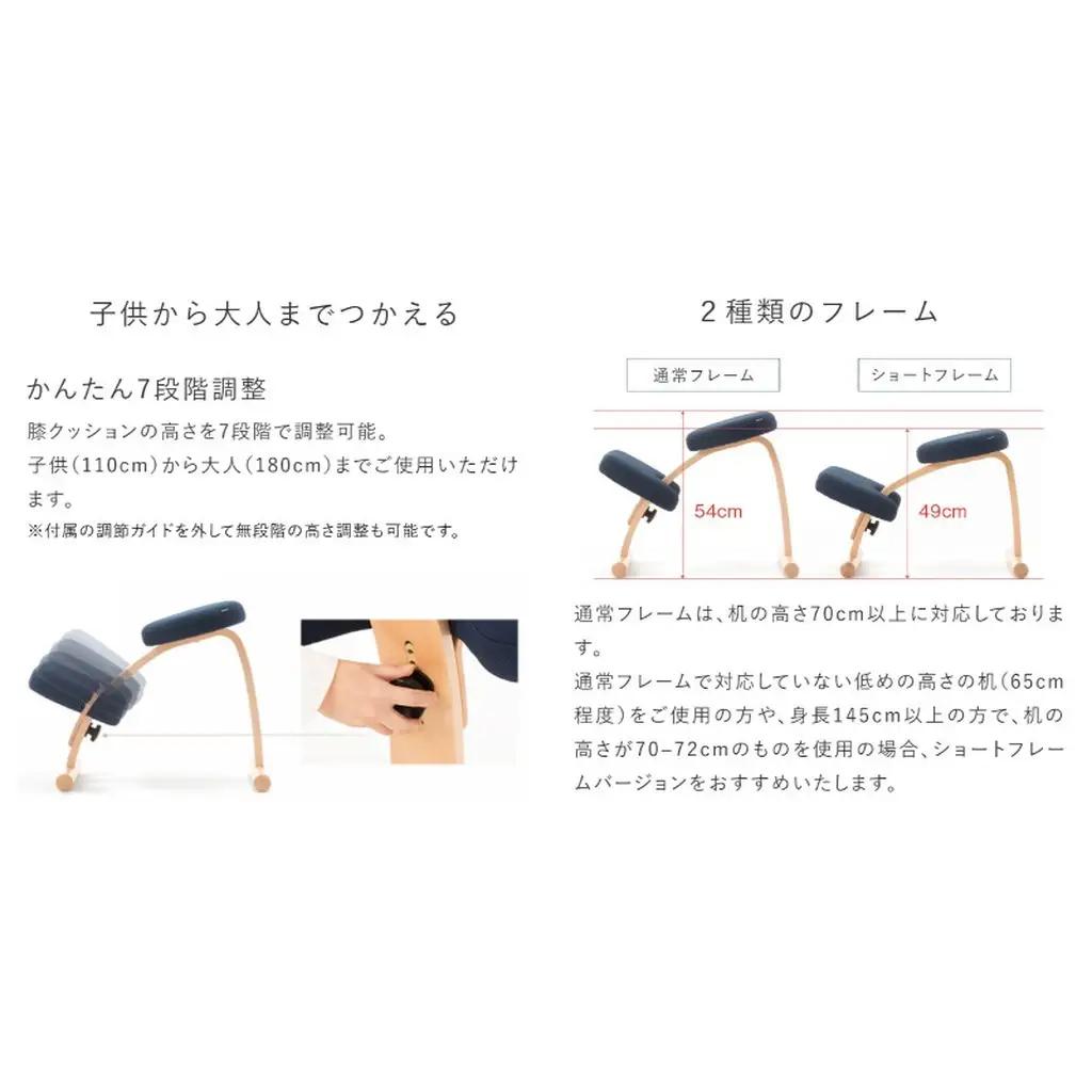 椅子 バランスイージー カバーなし 選べる カラー 椅子 ショートライトグリーン